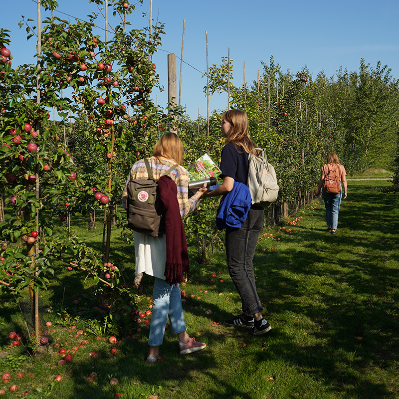 Hungry For Change – Education In Sustainable Food Systems | Externwebben