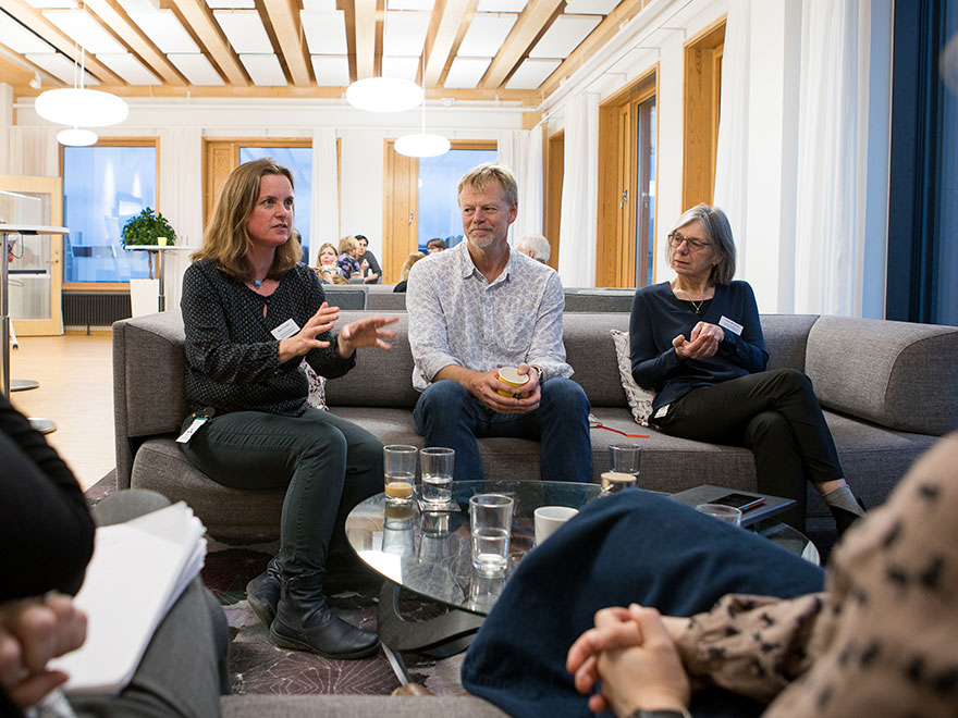 Five persons in a group discussion. Photo.