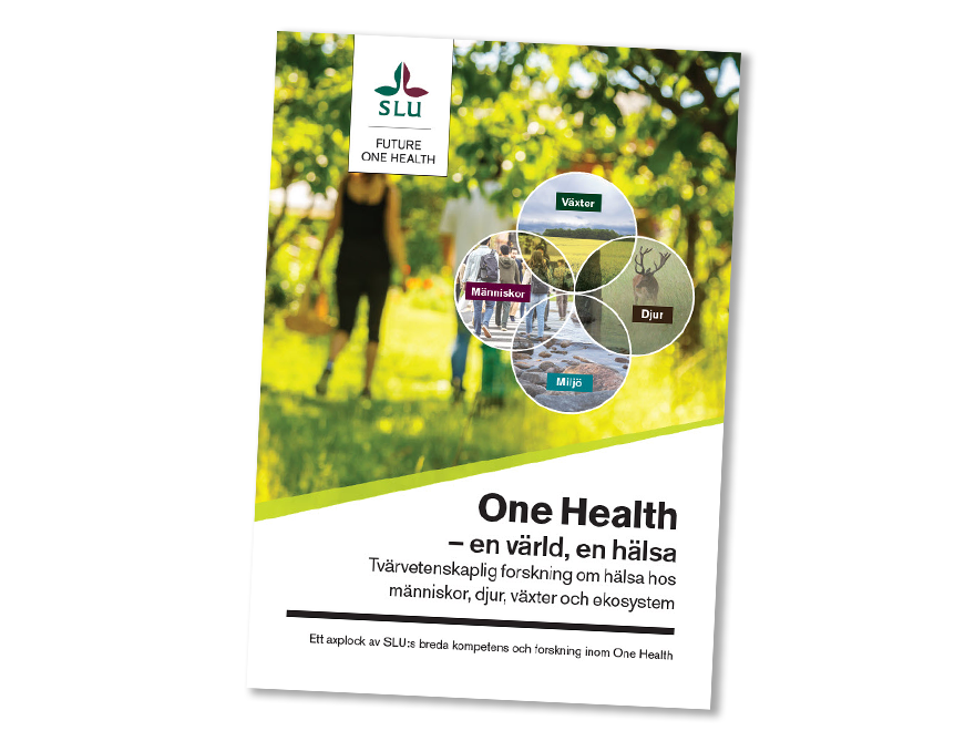 Bild på ett omslag av en folder som handlar om SLU:s One Health forskning. Foto.