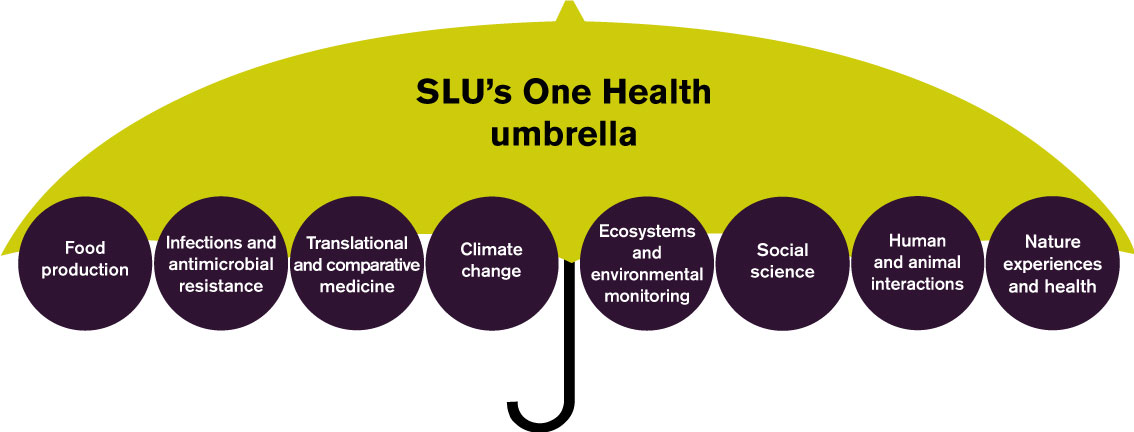 Umbrella with rings where different subject areas are written. Illustration.