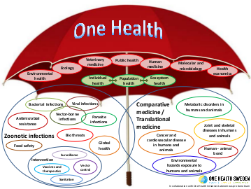 The One Health Perspective | Externwebben