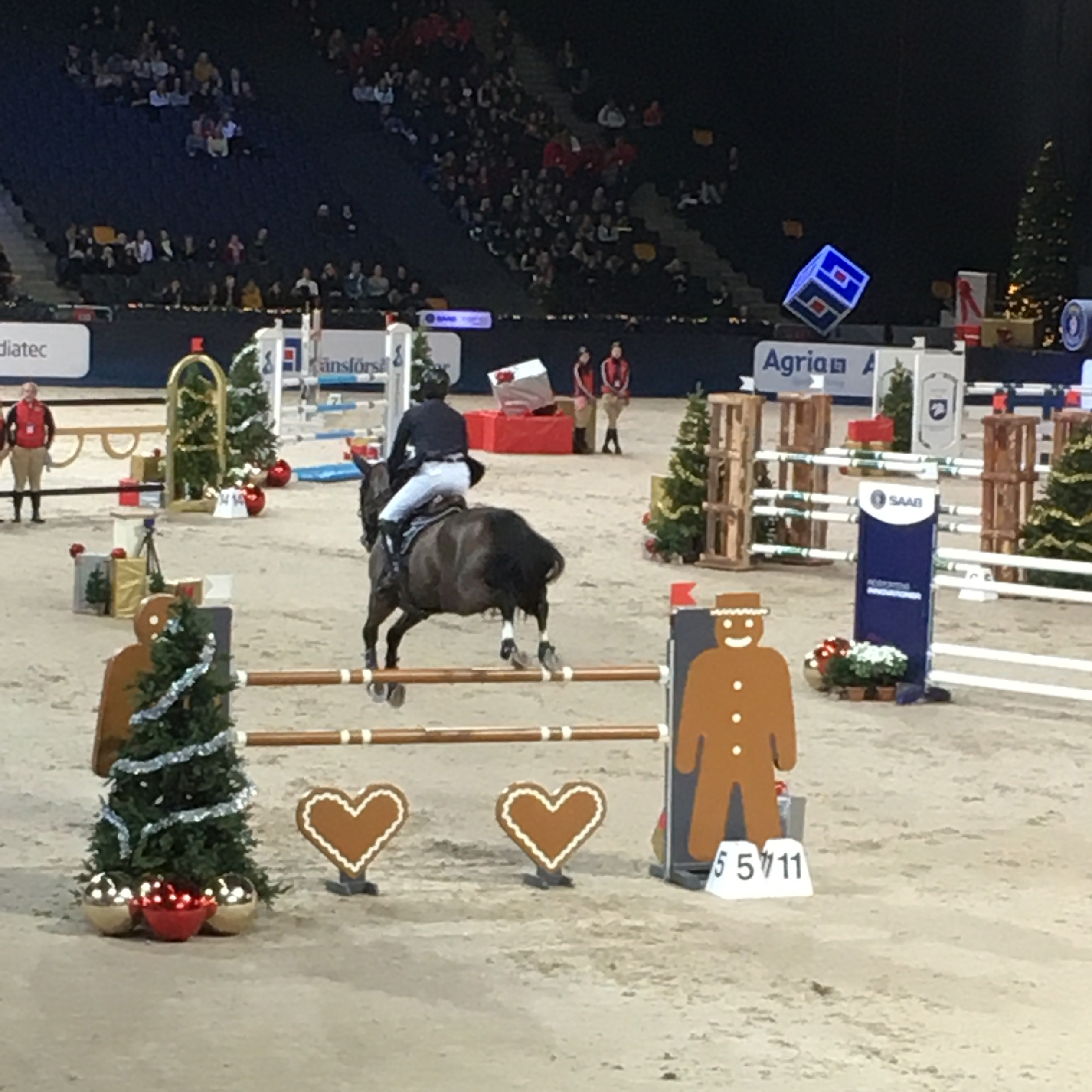 Hopptävling inför fullsatta läktare. Hindren är juldekorerade och en stor brun häst hoppar över ett med pepparkaksgubbar.