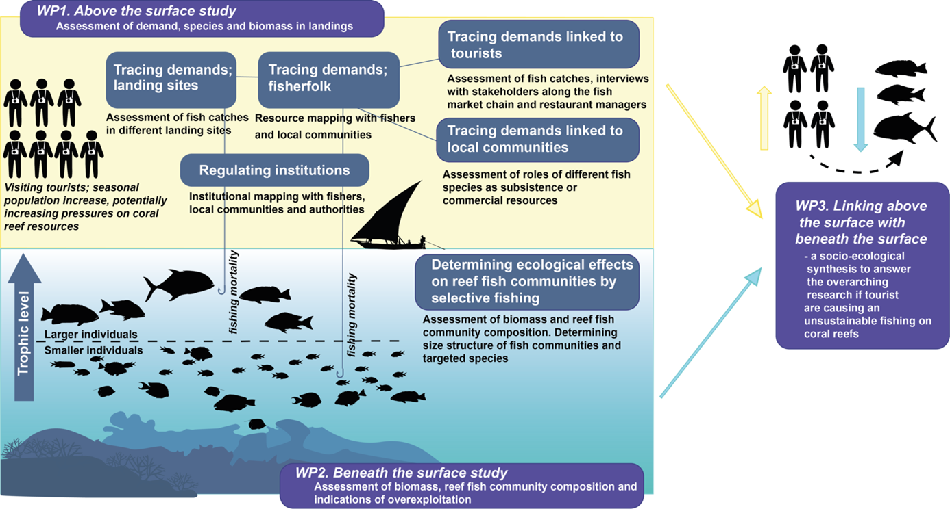 Konceptuell illustration av FishLinks-projektets utformning. 