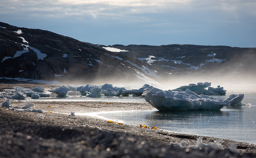 Ice in bay