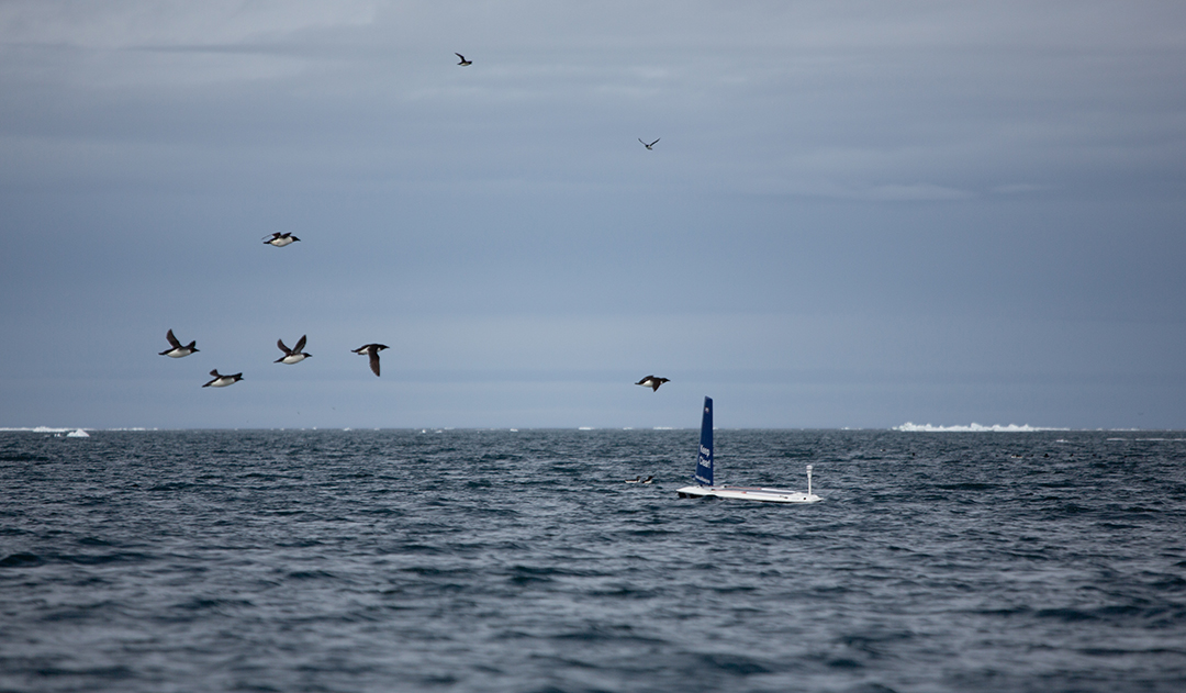 Sailing drone