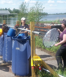 women working with big blue bags 