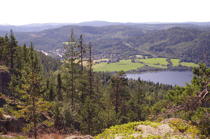 Landskap med skog sjö och åkrar.