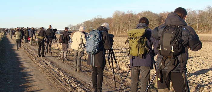 Long line of bird watchers.