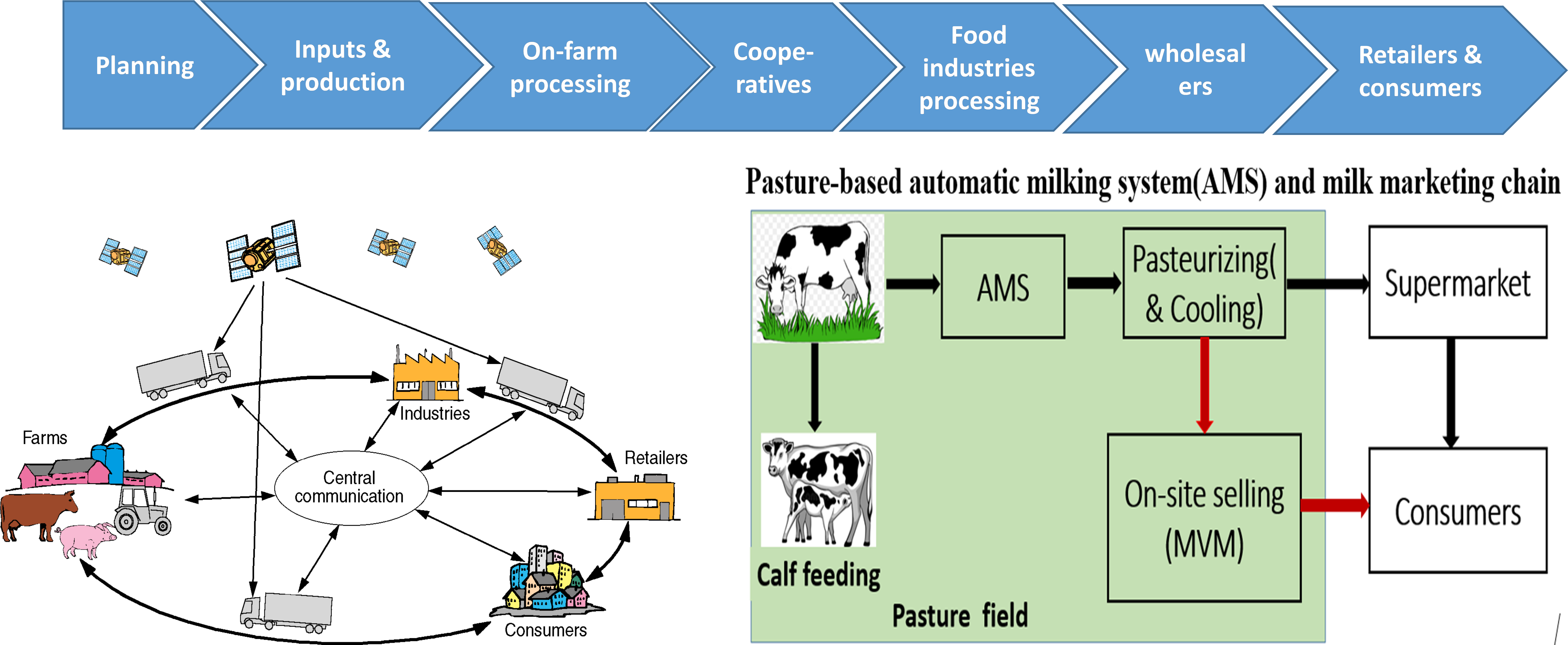 Digitalisation and Automation in an integrated Agriculture and Food ...