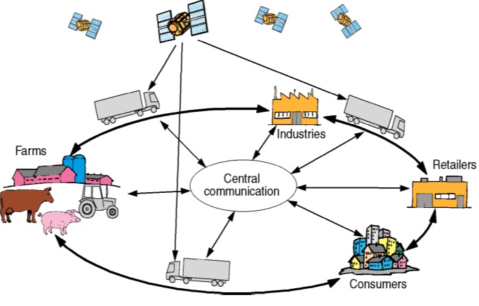 Logistik Externwebben