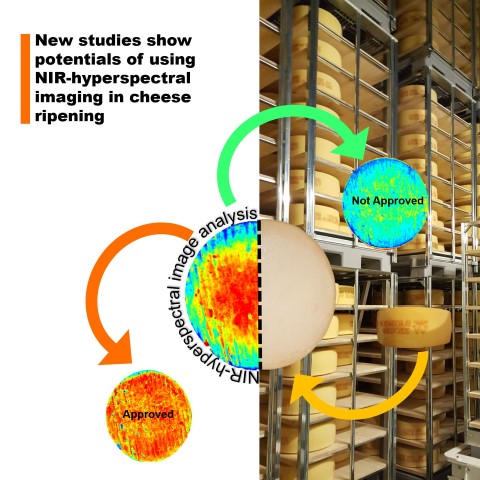 Development Of A Non-destructive Tool For Quality Assurance Of Cheese ...