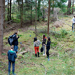 Skogen, Växthusgaserna Och Klimatförändringen - Elever, Lärare Och ...