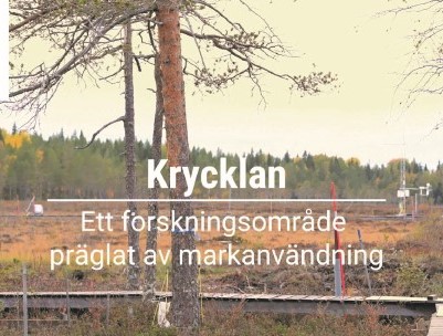 Picture from start page of video Krycklan forest history