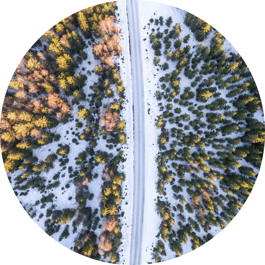 Road through boreal forest, drone photo.