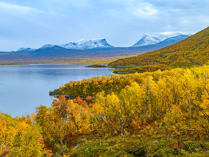 View over Lapporten in Abisko in autumn season, snow on the mountains and yellow bich trees, Abisko, Kiruna county, Swedish Lapland, Sweden by Mats Lindberg