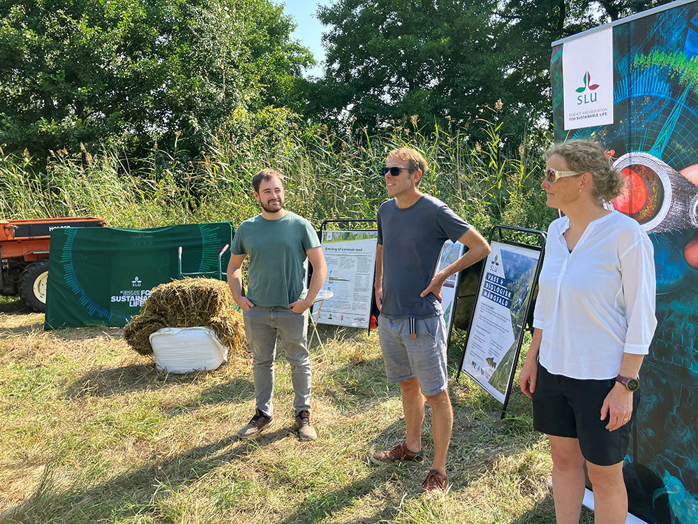 William Ashworth, Örjan Östman and Malin Connysson in front of SLU's stand, outdoors with reed and trees in the background. Photo.