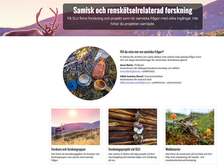 Översikt webbsida om samisk och renskötselrelaterad forskning. Bild.
