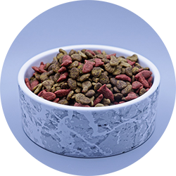 A feed bowl with cat feed. Photo.