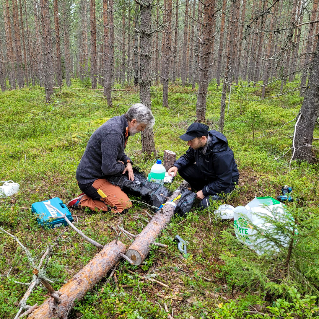 Pine sap–based plastic: A potential gamechanger for future of sustainable  materials