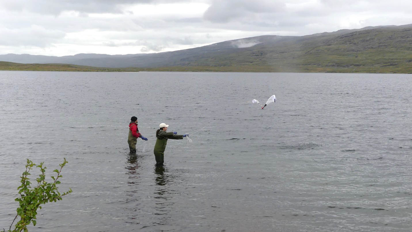 Two people standing in a mountain lake working with sampling equipment. Photo.