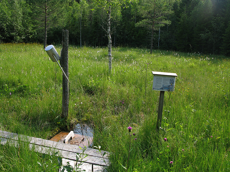 Högmokällan. Foto: Sebastian Sundberg