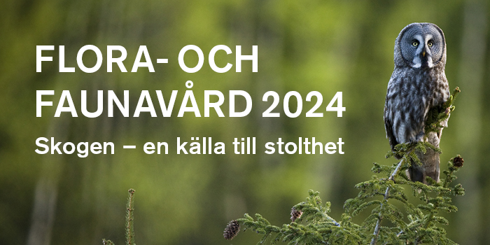 Flora- och faunavård 2024: Skogen – en källa till stolthet. Grafik