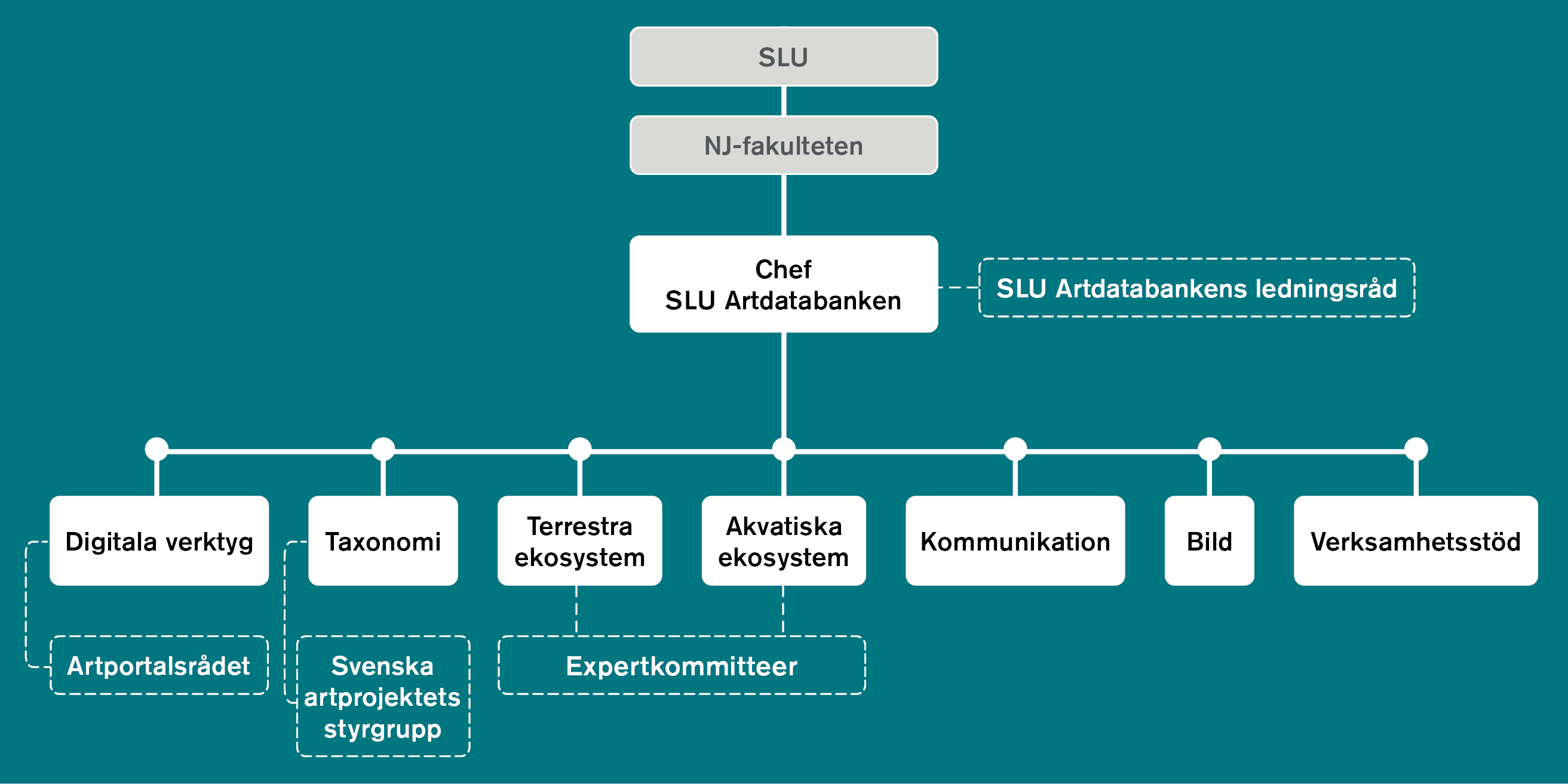 Organisationsschema för SLU Artdatabanken med SLU, NJ-fakulteten, chef, enheter och styrande grupper. Grafik