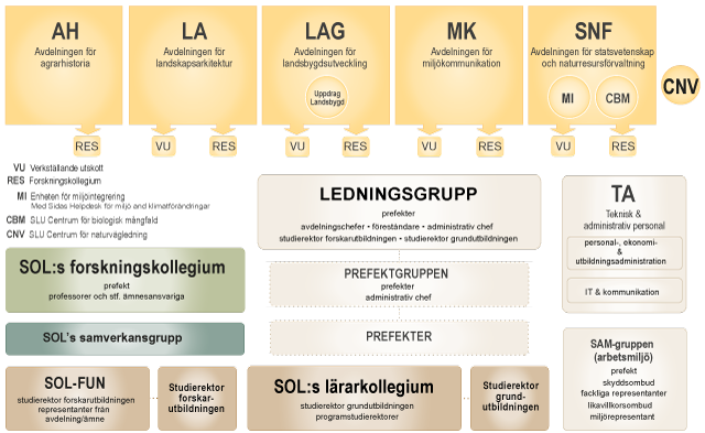 Organisationsschema