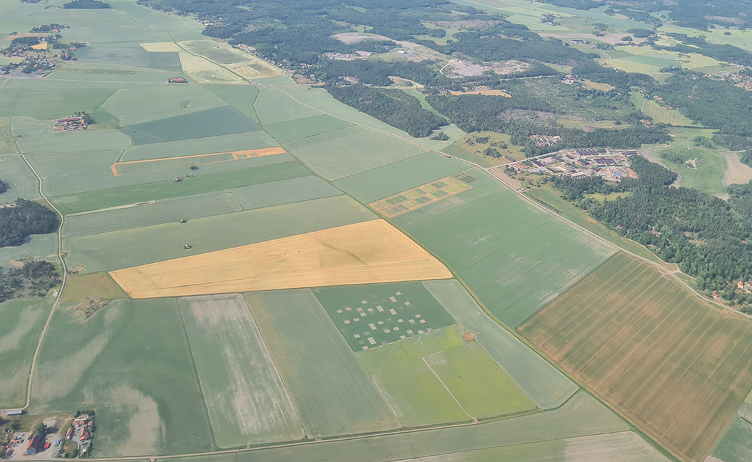 Flyfoto över jordbrukslandskap. Foto.