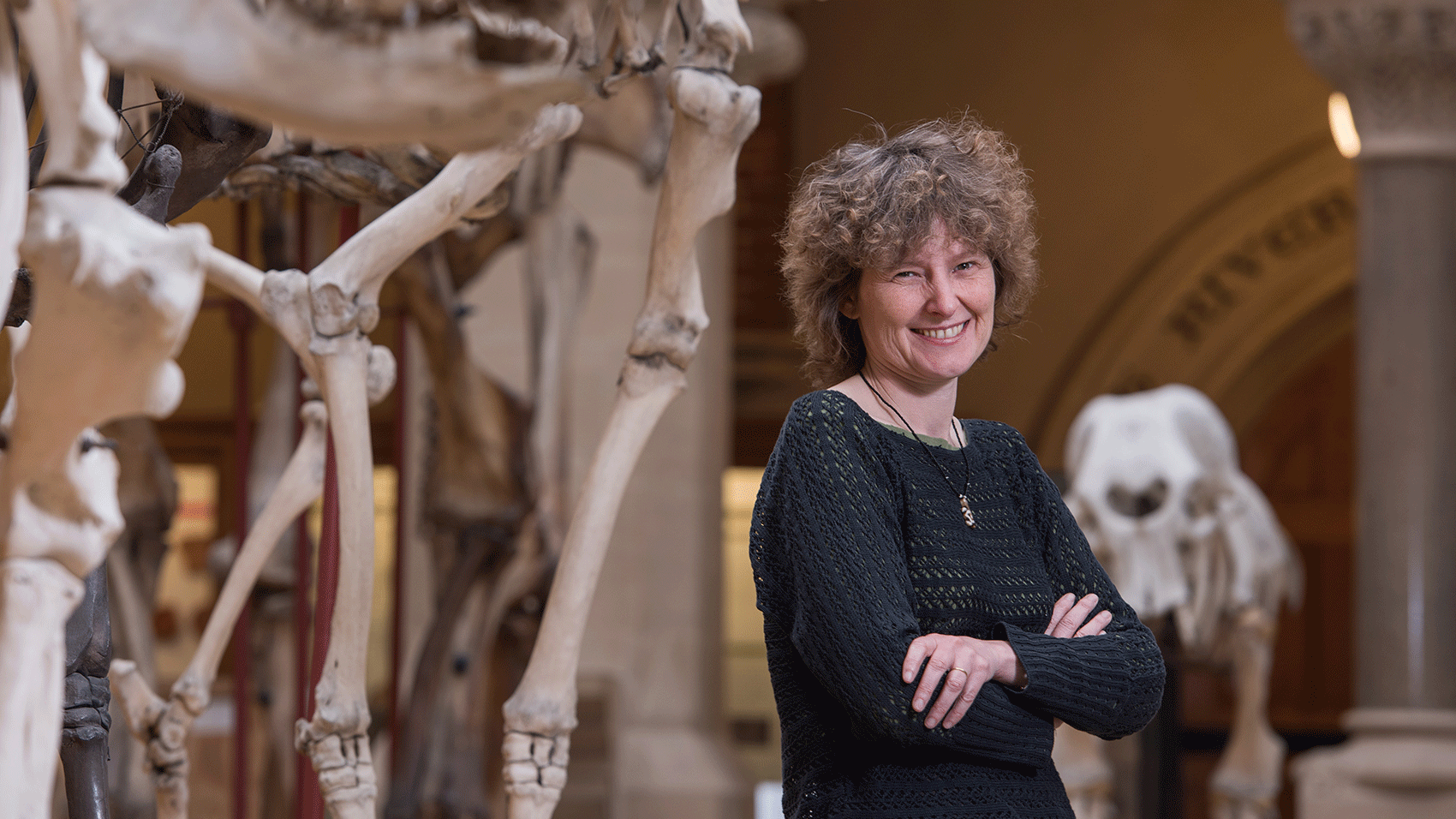 A woman standing in front of a bunch of skeletons.