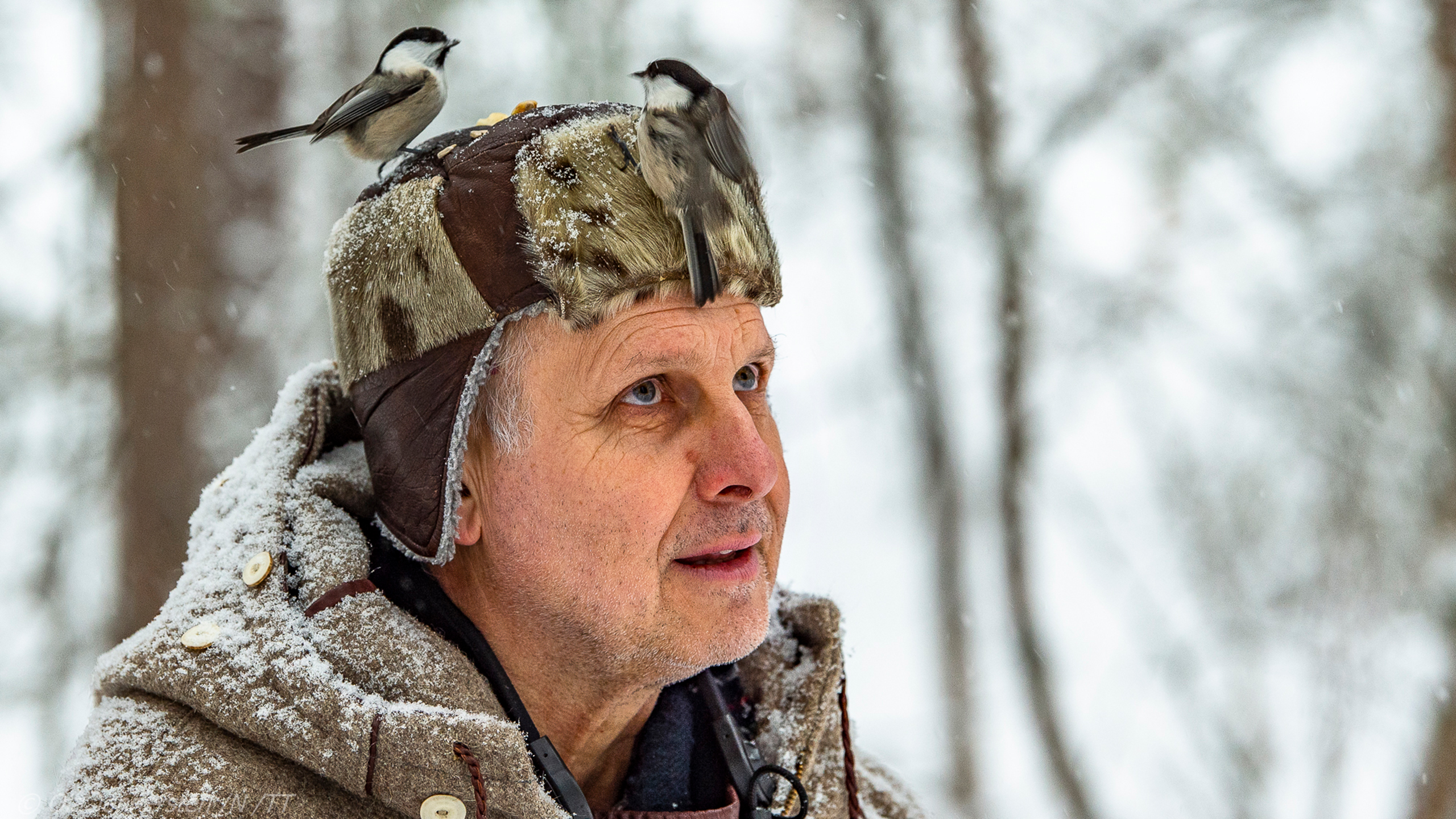 A person standing in a snowy winter landscape wearing a fur hat. The person is looking up towards a little bird, sitting on his head.