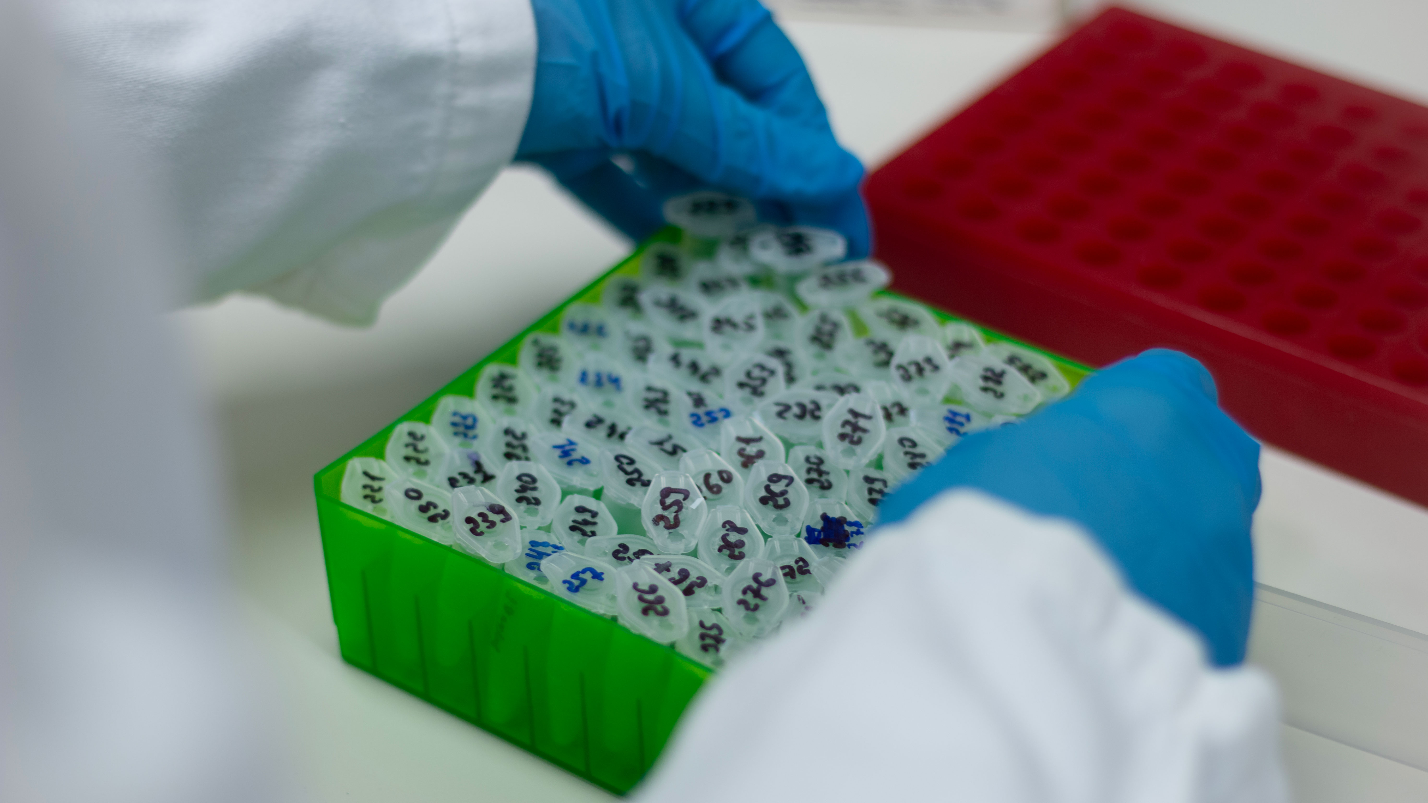 Lab environment with gloved hands pipetting test tubes.