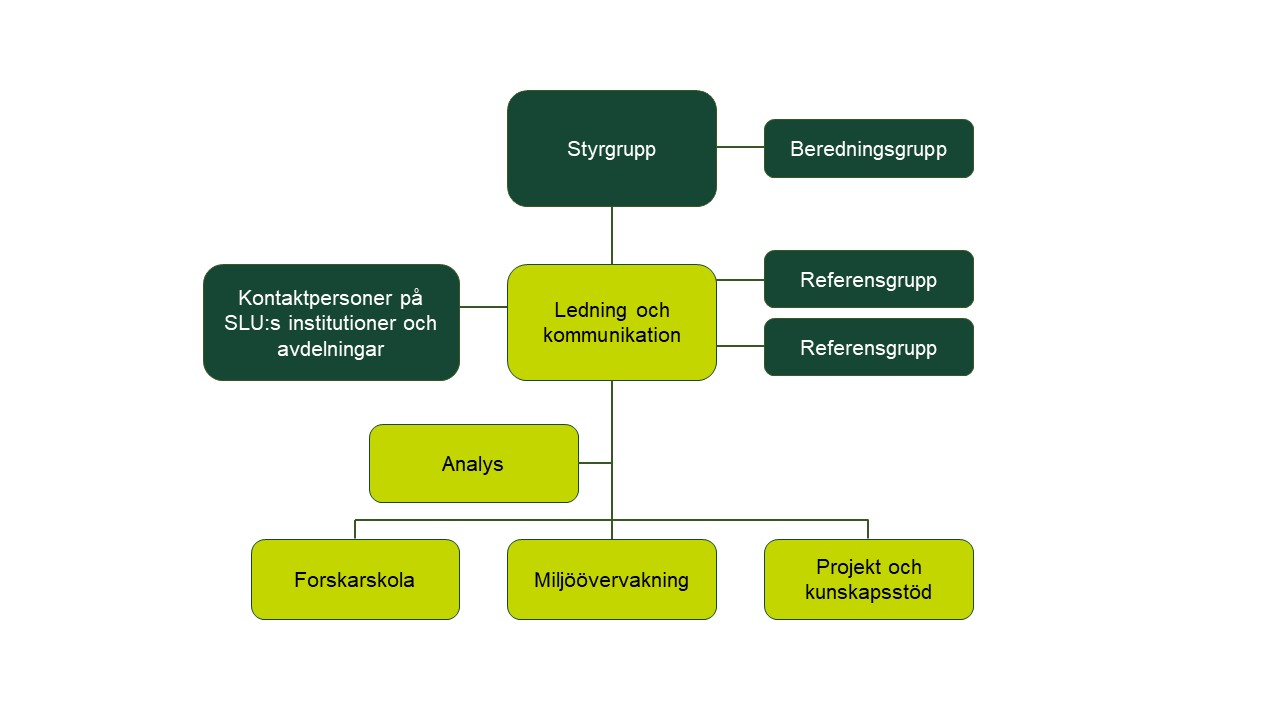 Organisationsschema. Bild.