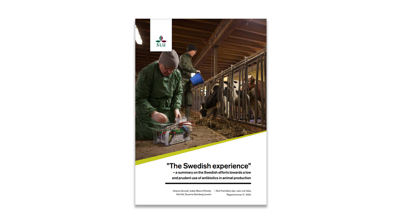 Report cover with picture and title.