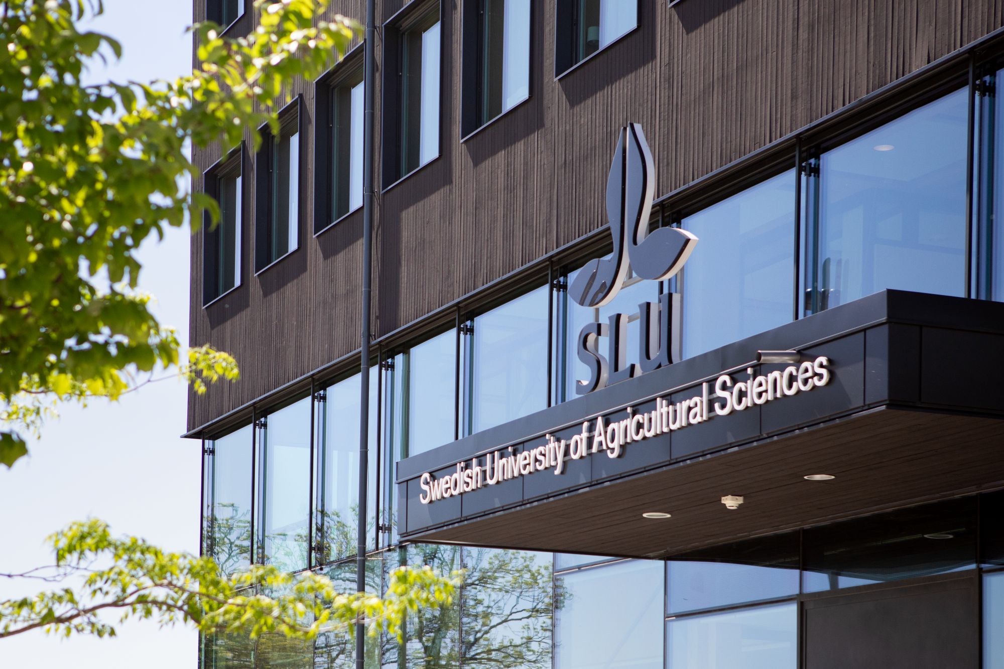 SLU's entrance in Uppsala